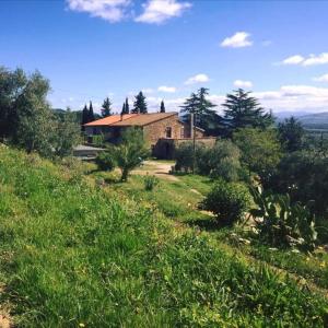 una casa sul fianco di una collina erbosa di Podere Baloo Suvereto a Suvereto