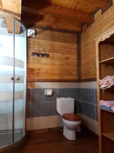 ein Bad mit einem WC und einer Dusche in der Unterkunft Casa Joanet in Unarre