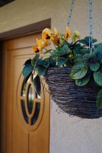 um cesto com flores amarelas pendurado ao lado de uma porta em Willa Krystyna em Władysławowo