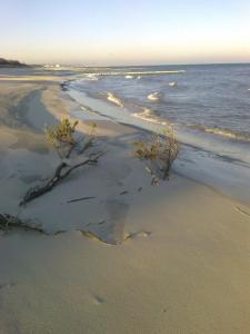 ブワディスワボボにあるWilla Krystynaの砂の木が突き出た浜