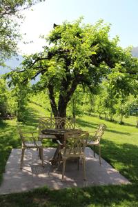Zahrada ubytování Haus im Erlengrund