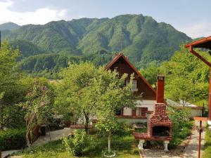a house with a fireplace in front of a mountain at Casa COLT DE RAI in Brezoi