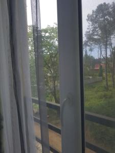 Zahrada ubytování Kottiedzh EDEM