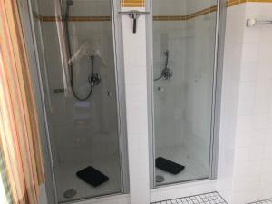 ミッテンヴァルトにあるMittenwald-Ferienのバスルーム(ガラスドア、シャワー付)