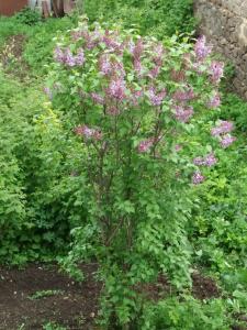 Gallery image of Aida Bed & Breakfast in Tatʼev