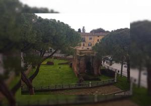 A garden outside La Coccinella Guest House