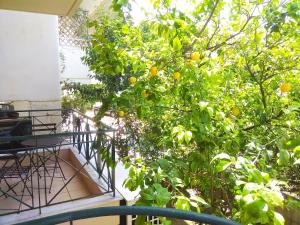 an orange tree is growing on a balcony at Limonchello in Kalamata