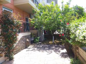 A garden outside Limonchello