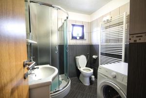 a bathroom with a toilet and a sink and a washing machine at Apartment Lana in Rakovica +39 photos