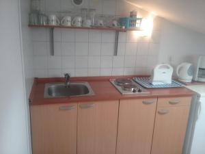 Küche/Küchenzeile in der Unterkunft Apartman zarok