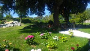 Zahrada ubytování Apartamentos La Encina