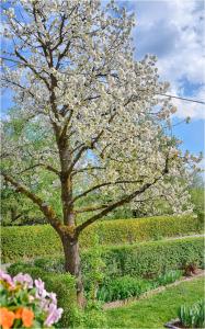 a tree with white flowers in front of a hedge at Studio Southwest 1 with AirCon & FREE Parking in Ljubljana