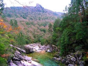 a river in the middle of a forest at Magnolia Apartment in Geres