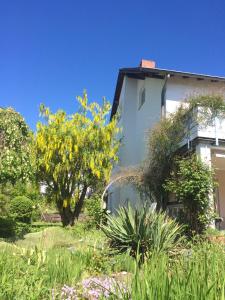 une maison blanche avec des plantes et des arbres dans l'établissement Ferienwohnung Schwarz, à Mayen