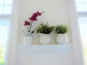 Fotografie z fotogalerie ubytování Appartement Ambiente v destinaci Waidhofen an der Ybbs
