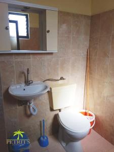 クサミルにあるPetrit Guesthouseのトイレと洗面台付きのバスルーム
