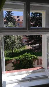 Zahrada ubytování Skromný apartmán v centru Chebu + 2 fotografie