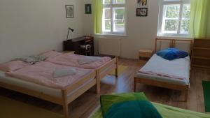 a bedroom with two beds and two windows at Skromný apartmán v centru Chebu in Cheb