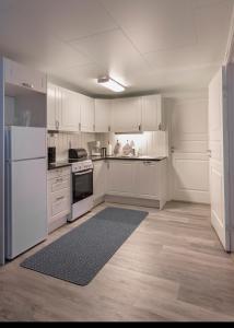 Kuchyň nebo kuchyňský kout v ubytování Tore Hunds Apartments
