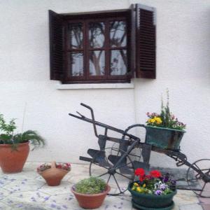 une table avec des plantes en pot au-dessus de celle-ci et une fenêtre dans l'établissement Five Fingers Holiday Bungalows, à Kyrenia