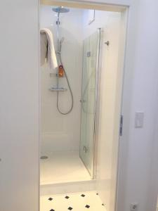 ヴァイトホーフェン・アン・デア・イプスにあるAppartement Ambienteのバスルーム(ガラスドア付きのシャワー付)