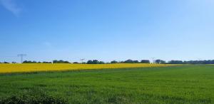Naturlandschaft in der Nähe der Ferienwohnung