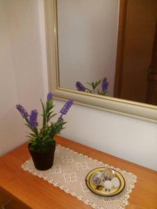 Fotografie z fotogalerie ubytování Apartman" Afrodita" v destinaci Biševo