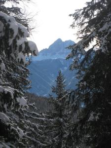ファルツェスにあるPension Grünbacherの雪に覆われた木々が茂る山脈の景色