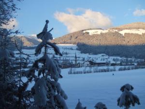 ファルツェスにあるPension Grünbacherの雪に覆われた木