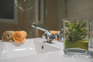a glass vase with a plant on a bathroom sink at Studio apartman Mia in Stobreč +13 photos