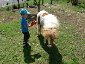 a little boy standing next to a small pony at Bauernhof Grain in Feldbach