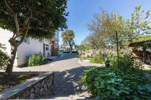 a street in a town with a tree and a sidewalk at Apartment Marija in Petrcane