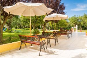 A garden outside Pelagos Studios