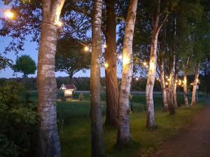 Fotografie z fotogalerie ubytování Ferienbauernhof De Slaaphoeve v destinaci Emlichheim