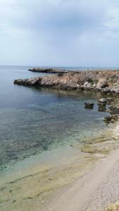 Φωτογραφία από το άλμπουμ του Stella Maris σε Favignana