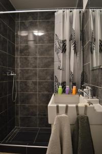 La salle de bains est pourvue d'un lavabo et d'une douche. dans l'établissement Kućica [kȕtɕitsa] - small house with free parking, à Zagreb
