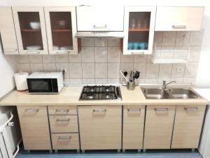 a small kitchen with a sink and a stove at Apartament Jaśminowy in Kudowa-Zdrój