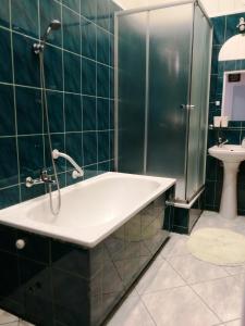 a bathroom with a shower and a tub and a sink at Apartament Jaśminowy in Kudowa-Zdrój