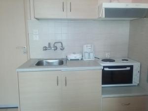 内弗利一室公寓酒店的厨房或小厨房