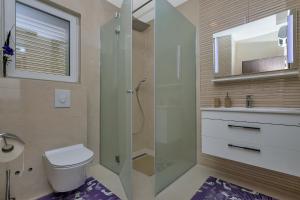 ein Bad mit einem WC und einer Glasdusche in der Unterkunft Vila Mila Mare in Drašnice