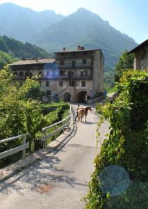 Nespecifikovaný výhled na hory nebo výhled na hory při pohledu z bed and breakfast