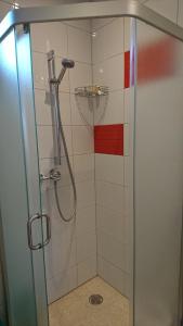a shower with a glass door in a bathroom at Aringos Rezidencija in Šventoji