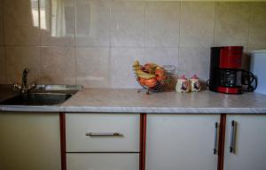 Kuchyň nebo kuchyňský kout v ubytování Apartman Vesna