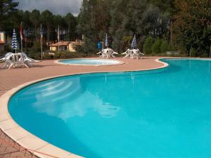 uma piscina com três animais brancos a andar à volta dela em Village Océlandes em Saint-Julien-en-Born