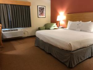una camera d'albergo con un grande letto e una finestra di AmericInn by Wyndham Princeton IL a Princeton