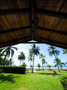 
a beach with palm trees and palm trees at Hotel Playa Cambutal in Cambutal

