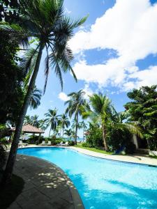 a swimming pool with palm trees in a resort at Hotel Playa Cambutal in Cambutal