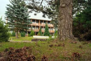 un bâtiment avec un arbre en face dans l'établissement Landhotel Harz, à Thale