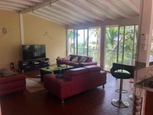 a living room with a couch and chairs and a television at Villa Les Trois Moulins in Saint-François