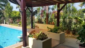 a patio with a swimming pool and some plants at Melaka Beachfront Villa with Pool in Malacca